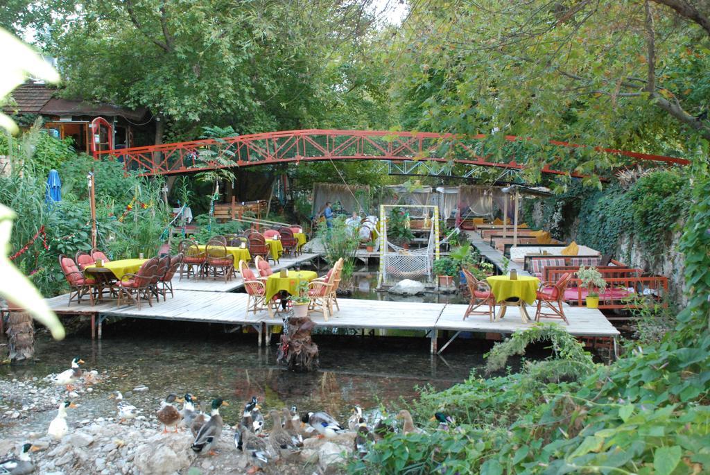 Arikanda River Garden Hotel Adrasan Kültér fotó